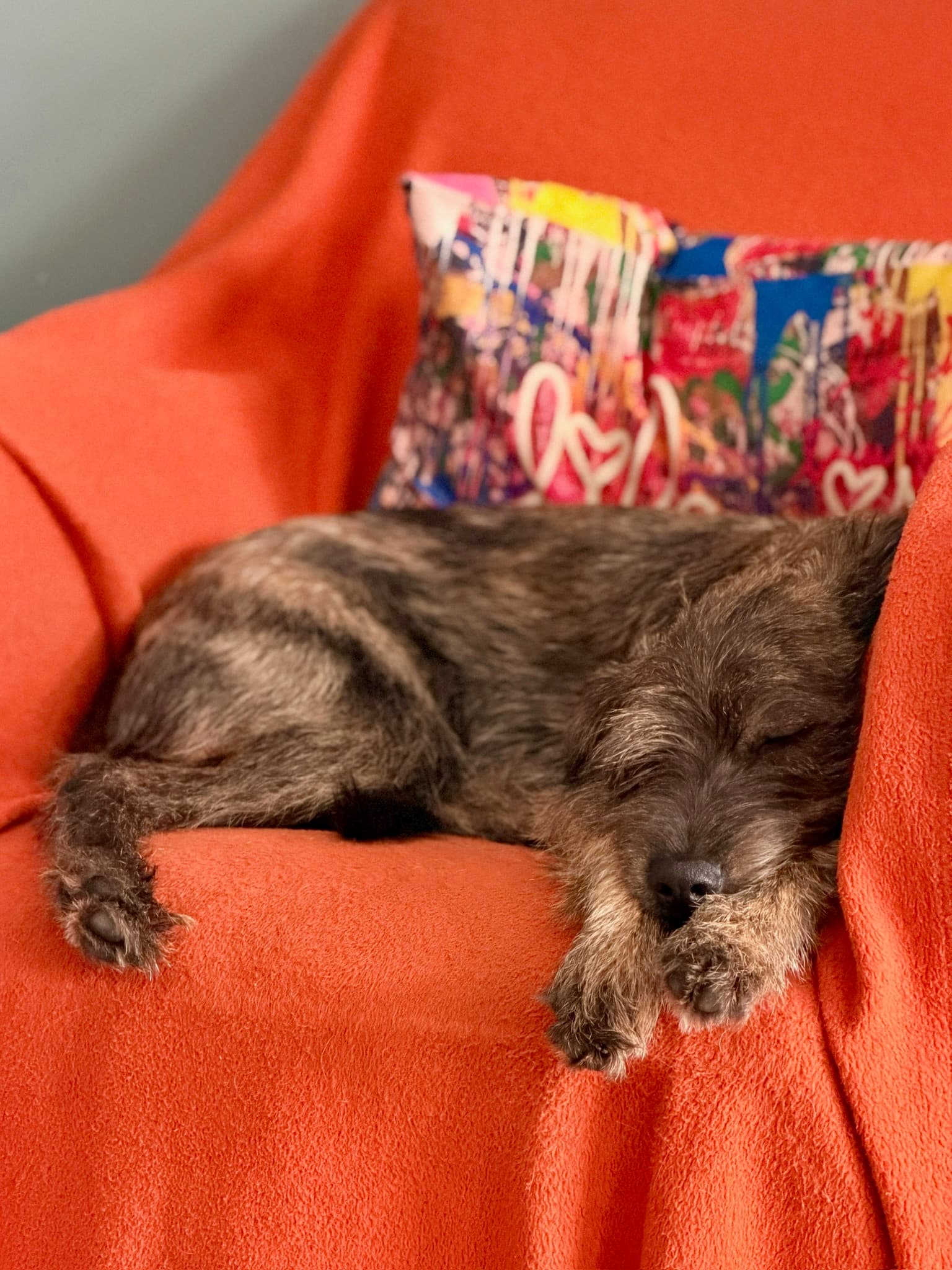 Toffee bei Familie Otte