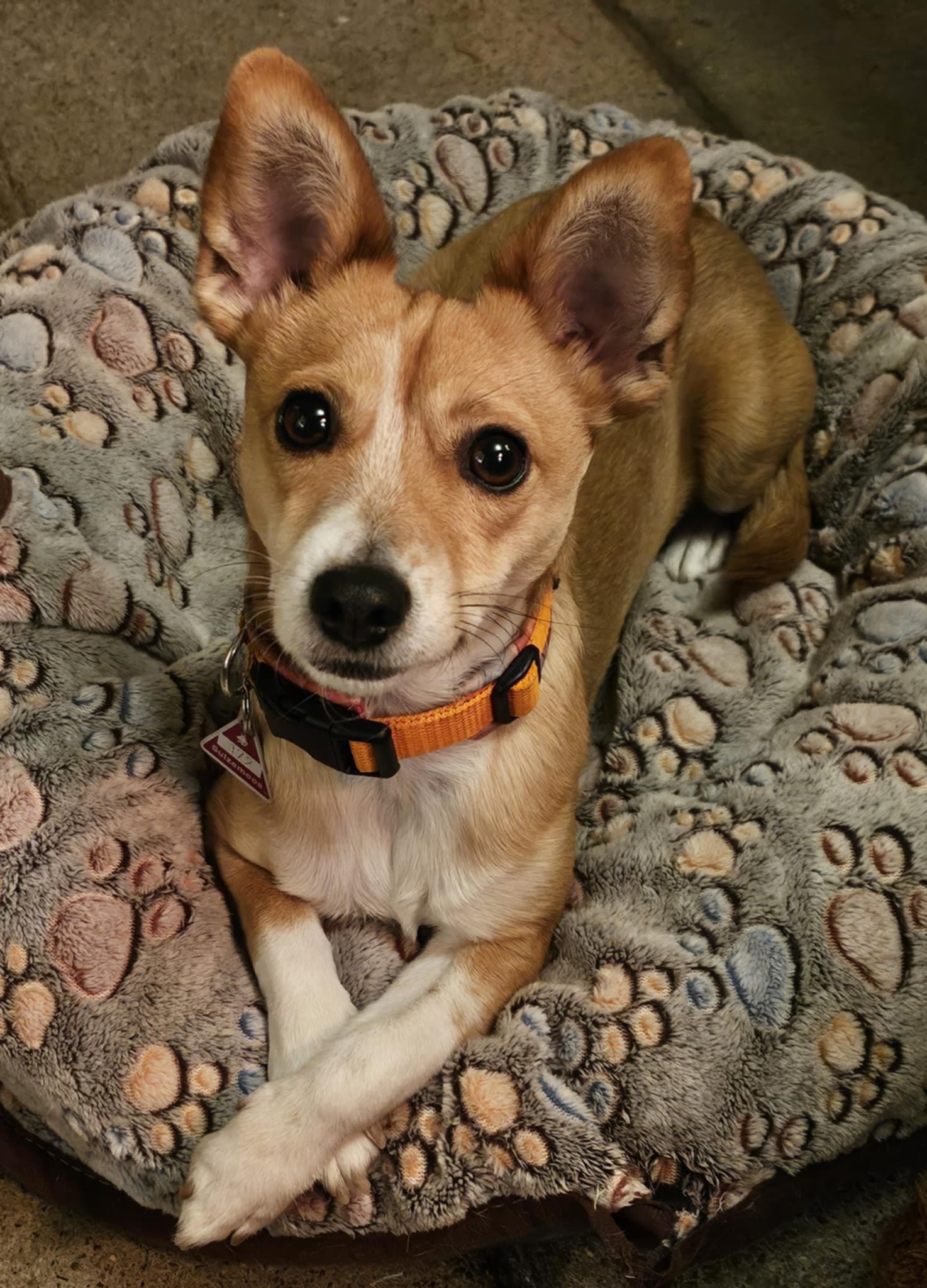 Emma bei Stadtmeister