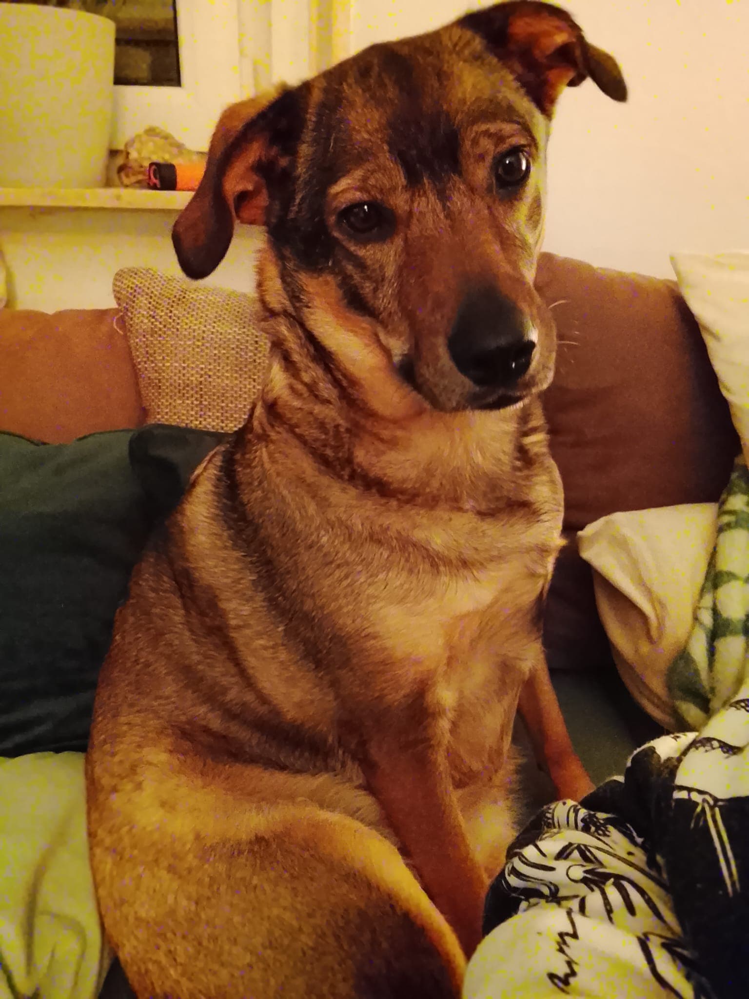 Lexi bei Anna S. 