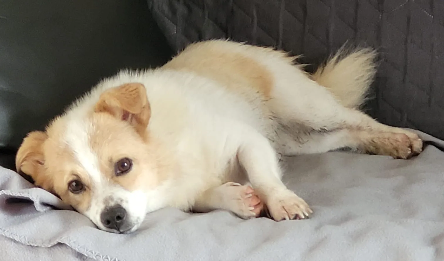 Thumbnail 15