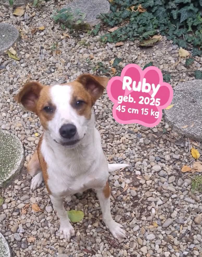 Ruby