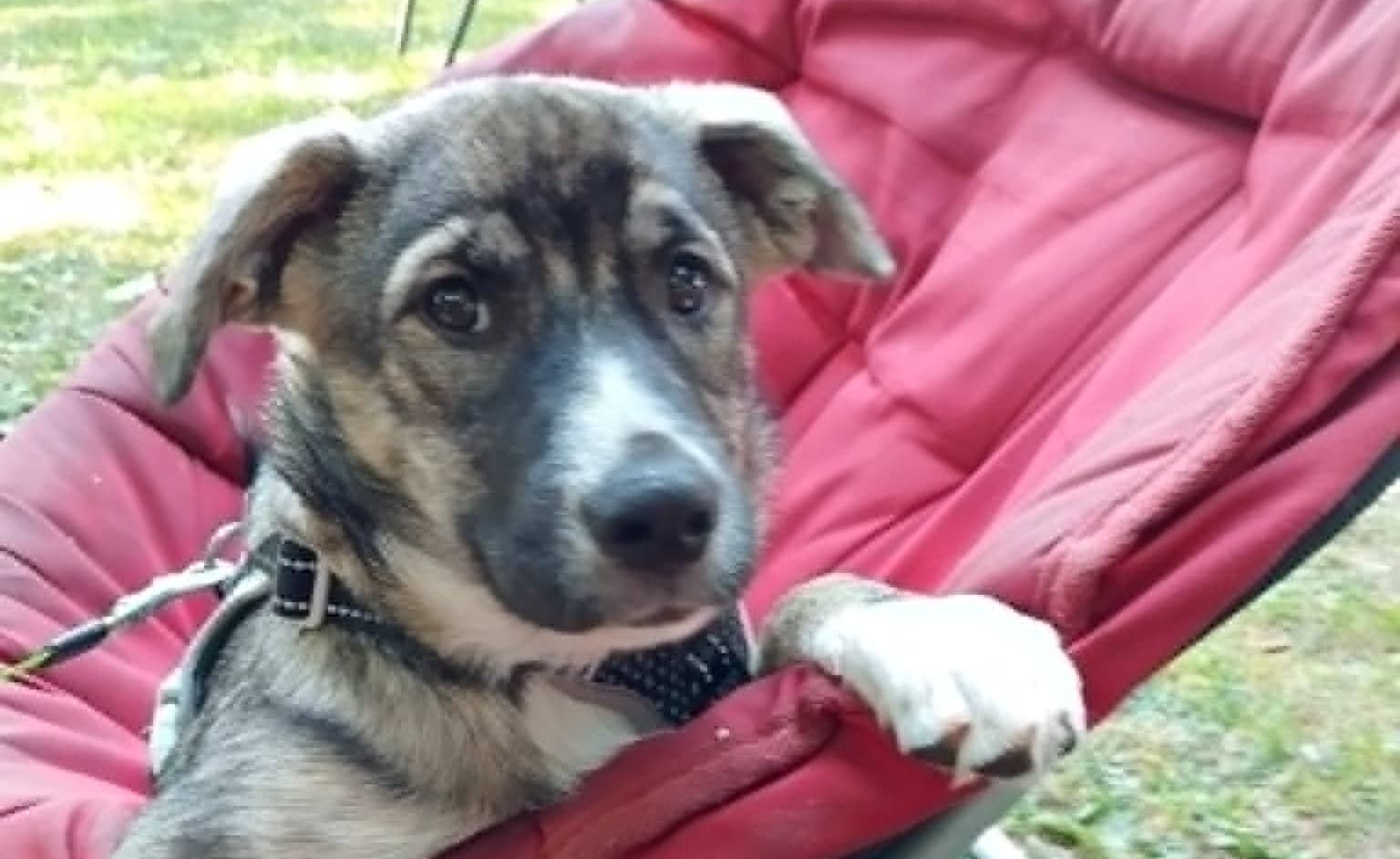 Freya jetzt Molly